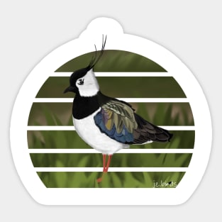 jz.birds Northern Lapwing Bird Animal Design Illustration Sticker